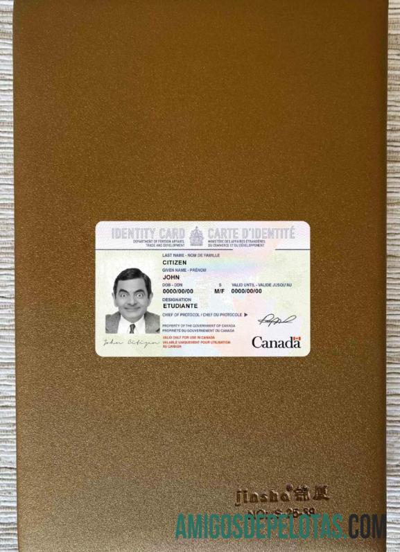 Canada bilhete de identidade olhar de foto frente amostra